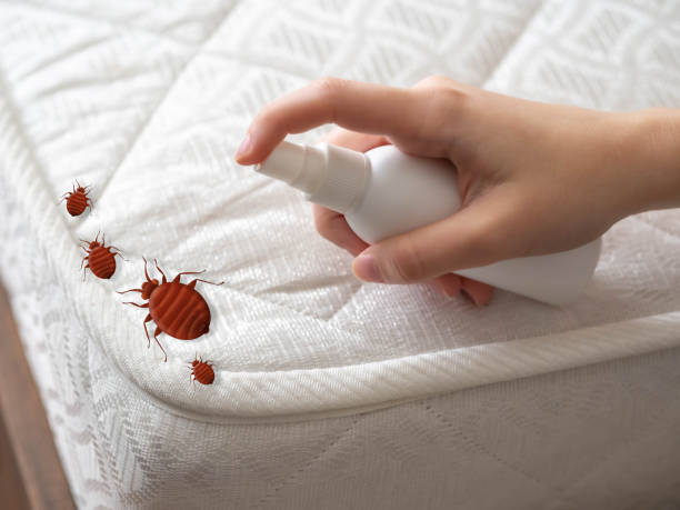 Best Pest Control for Multi-Family Homes  in St David, AZ